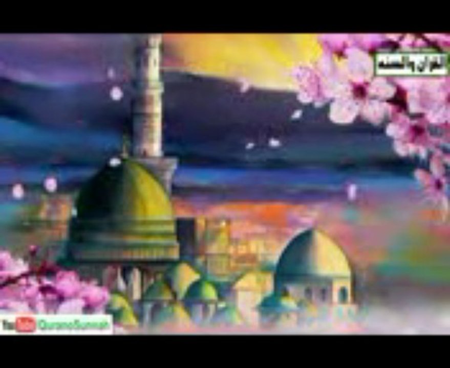 علماء کرام