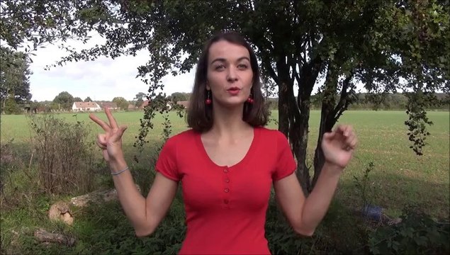 1 2 3 nous irons au bois