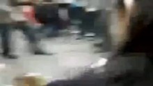 El perro mas perezoso del mundo