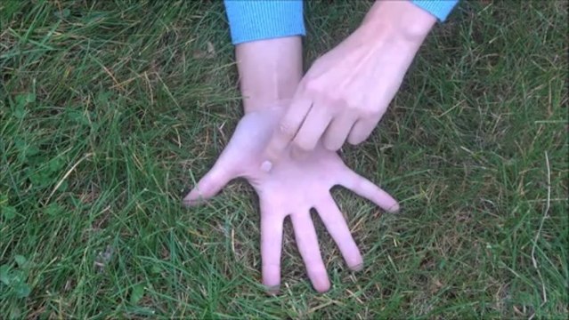 Dans un jardin tout rond tout rond