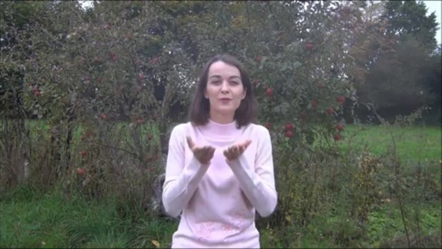 Ainsi font font font