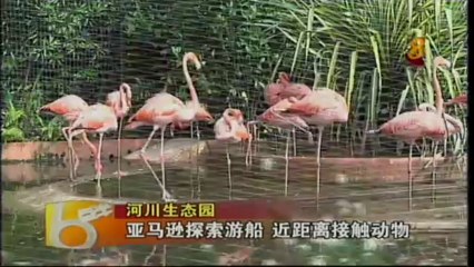 2013-12-07 1830hrs MediaCorp Channel 8 News (Saturday)