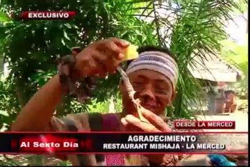 El banquete ashaninka: saboree estos pequeños y escurridizos manjares