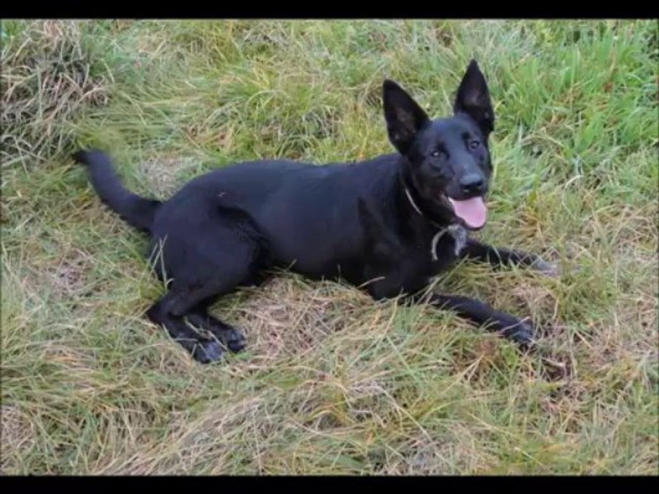 2 ans qu'elles sont là...