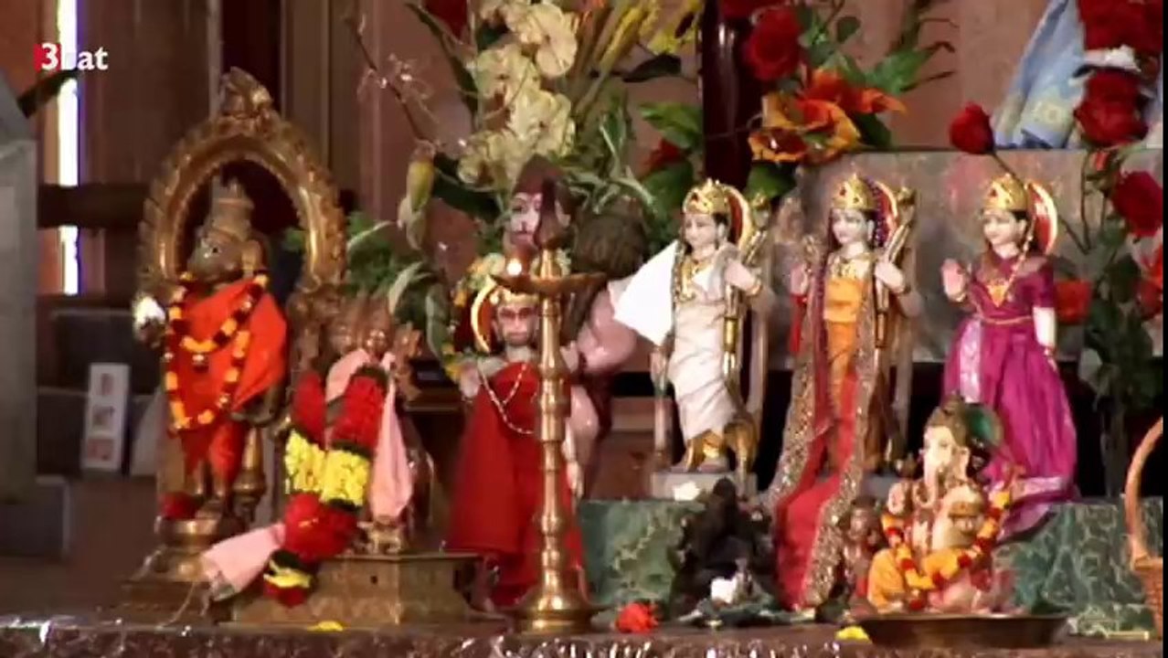 Karibik - Quer durch Kultur und Natur...  26.11.2013