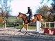 Séance d'obstacle poulains le 08/12/2013 - Groupe 1 - Formation cavalier jeunes chevaux / SANDILLON