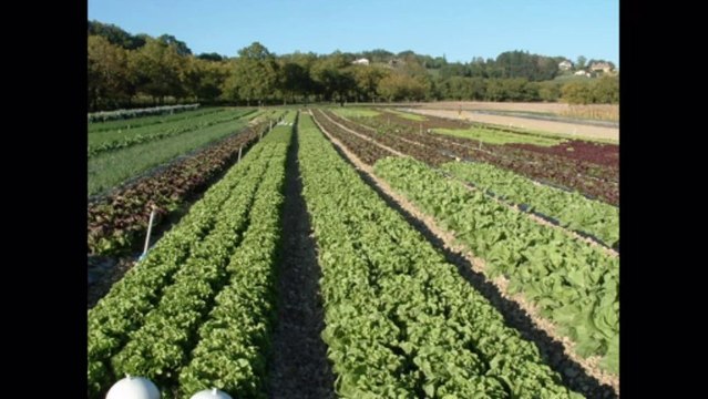 Présentation démarche ADABIO autoconstruction