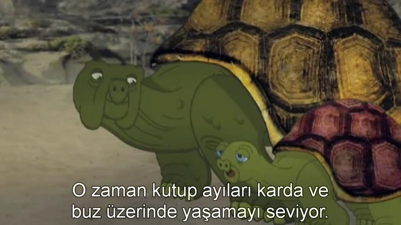 Çocuklar için Evrim  Boz ayılar neden kutup ayılarına evrildi