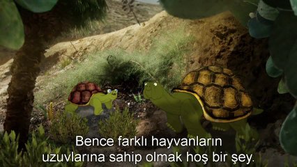 Çocuklar için Evrim  Ornitorenkin neden bu kadar sıradışı görünümü var