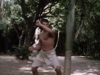 Jean-Claude Van Dam dans ses oeuvres