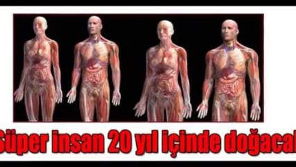 Oku 14 - Singularity Projesi