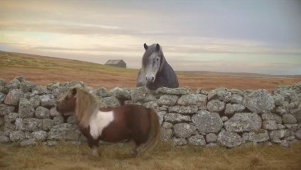 video-20131123-455799