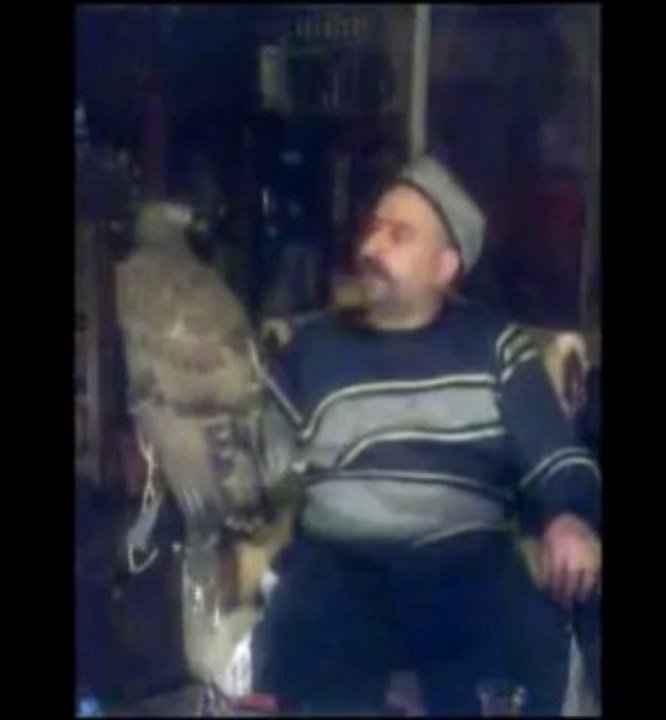 Yırtıcı Kuşlar - Oktan Keleş