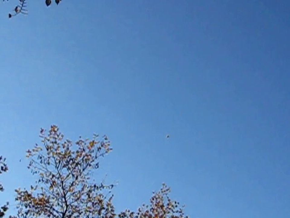 MVI_9039