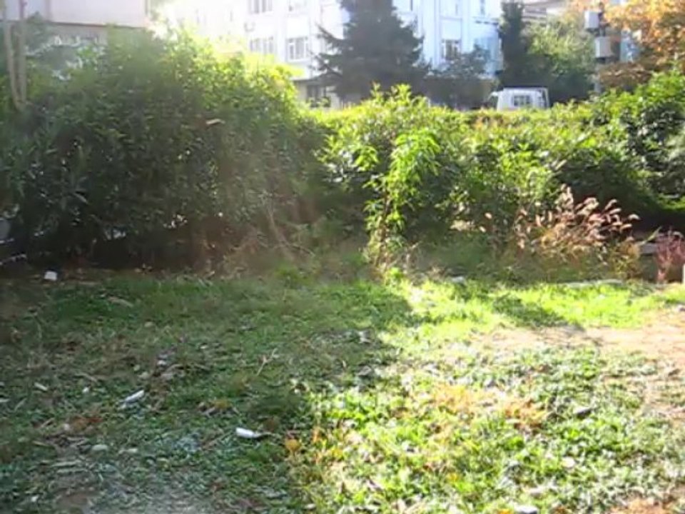 MVI_9041