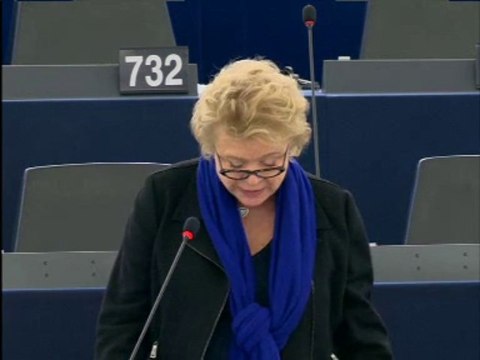 Eva Joly sur l'évasion fiscale en Europe (12 déc 2013)