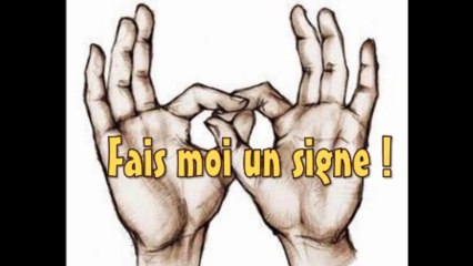 Obsèques de Mandela - L’imposteur en langage des signes