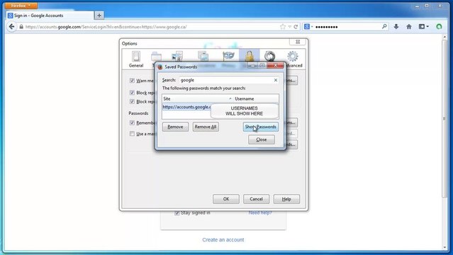 How To View Passwords In Firefox And Google Chrome
