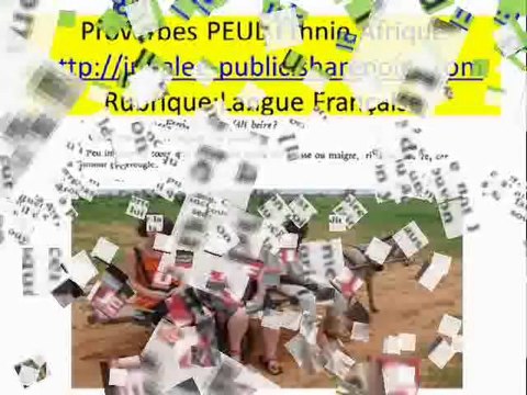 PEUL LA MINUTE PROVERBES AFRICAINS EPISODE 1