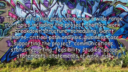 Online PMP Training A Convenient Option For Both Aspirant And Practicing Professionals