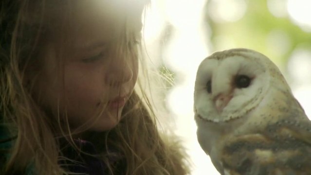 Je ressens, je vois, ce que vous ne vous sentez pas ..