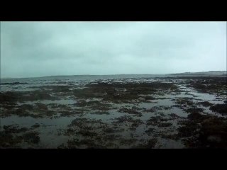 Chasse hivernale - Rapport a l'eau!