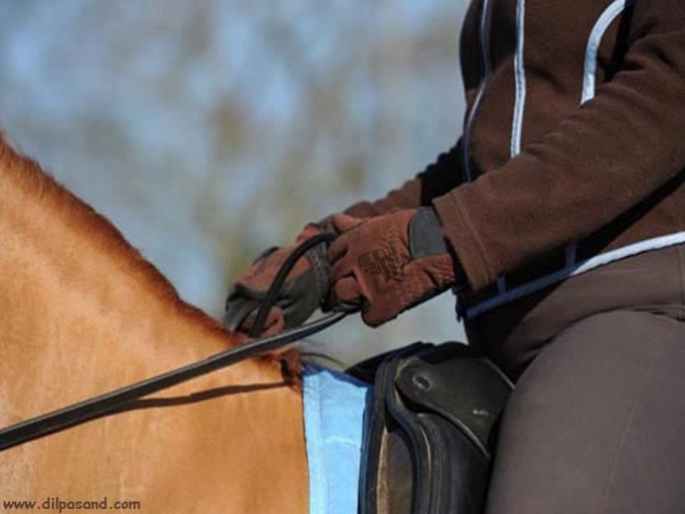 Pakistan Gloves