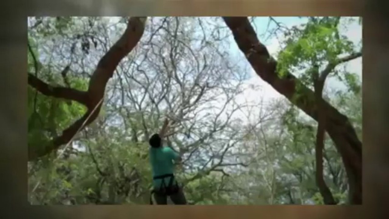 Trekking in Savandurga