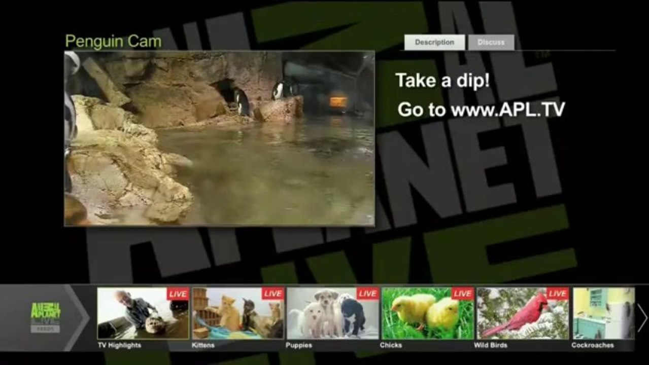 온라인바둑이게임▦▶T O M 5 4 . C O M◀▦온라인포커게임