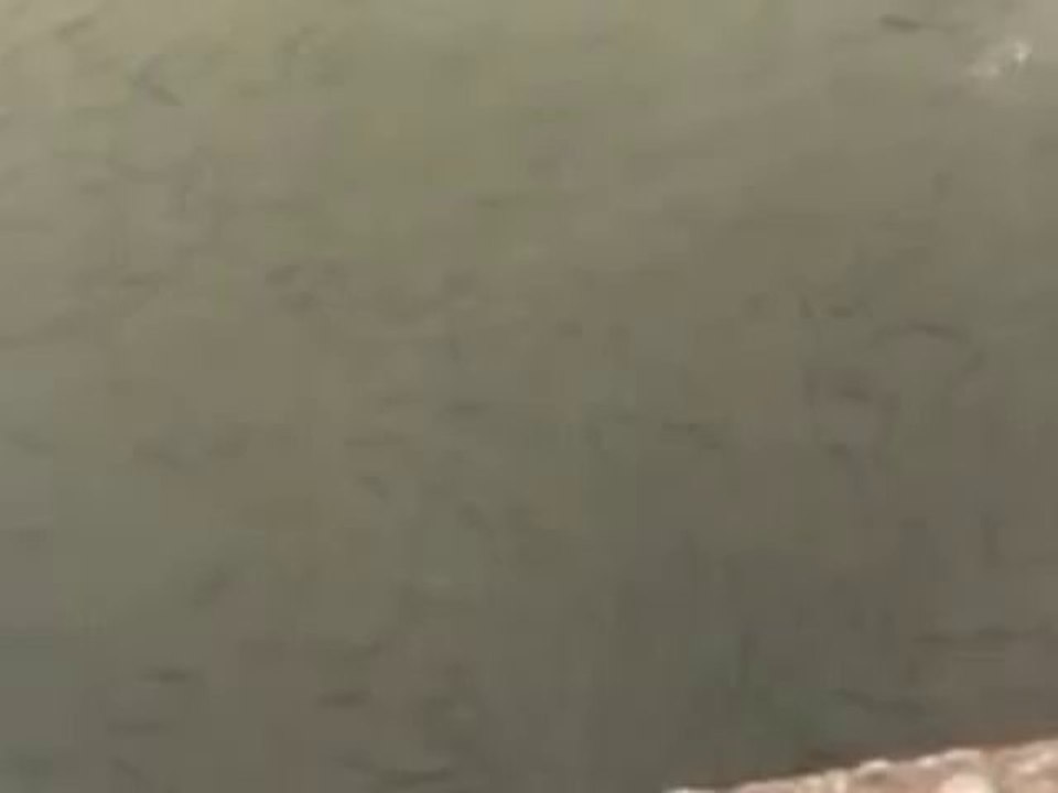 인터넷카지노▦▶T O M 5 4 . C O M◀▦온라인카지노