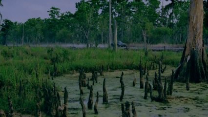 True Detective - Saison 1 "Missing" (HBO) [VO|HD]