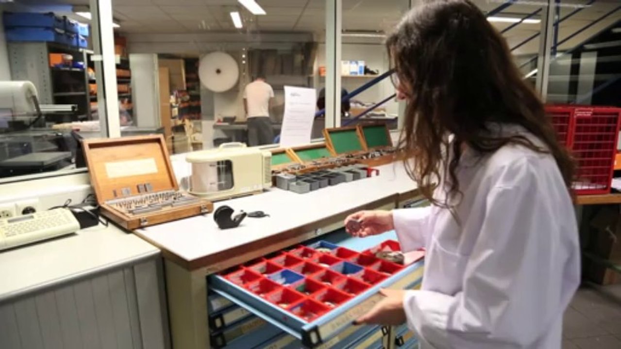 Trophée de l'alternance remis à ESTEVE (31)