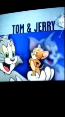 생방송도박★☆★T O M 5 4 C O M★☆★생중계도박