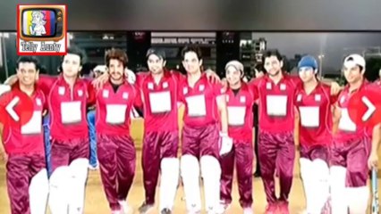 TV Stars Cricket Match For Charity