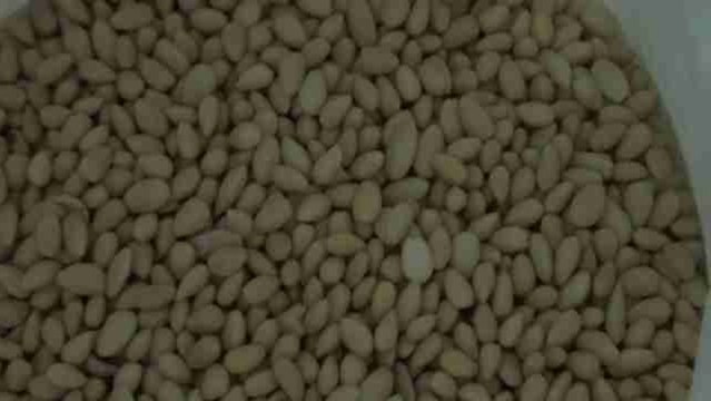 Mazapán cordobés para estas Navidades