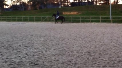 séance 8/12/13 avec milou