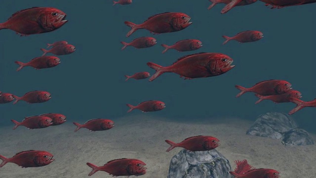 Deep-sea fishing