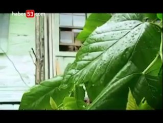 BAKTUM AĞLADUM...Mustafa Sırtlı.2011 yeni