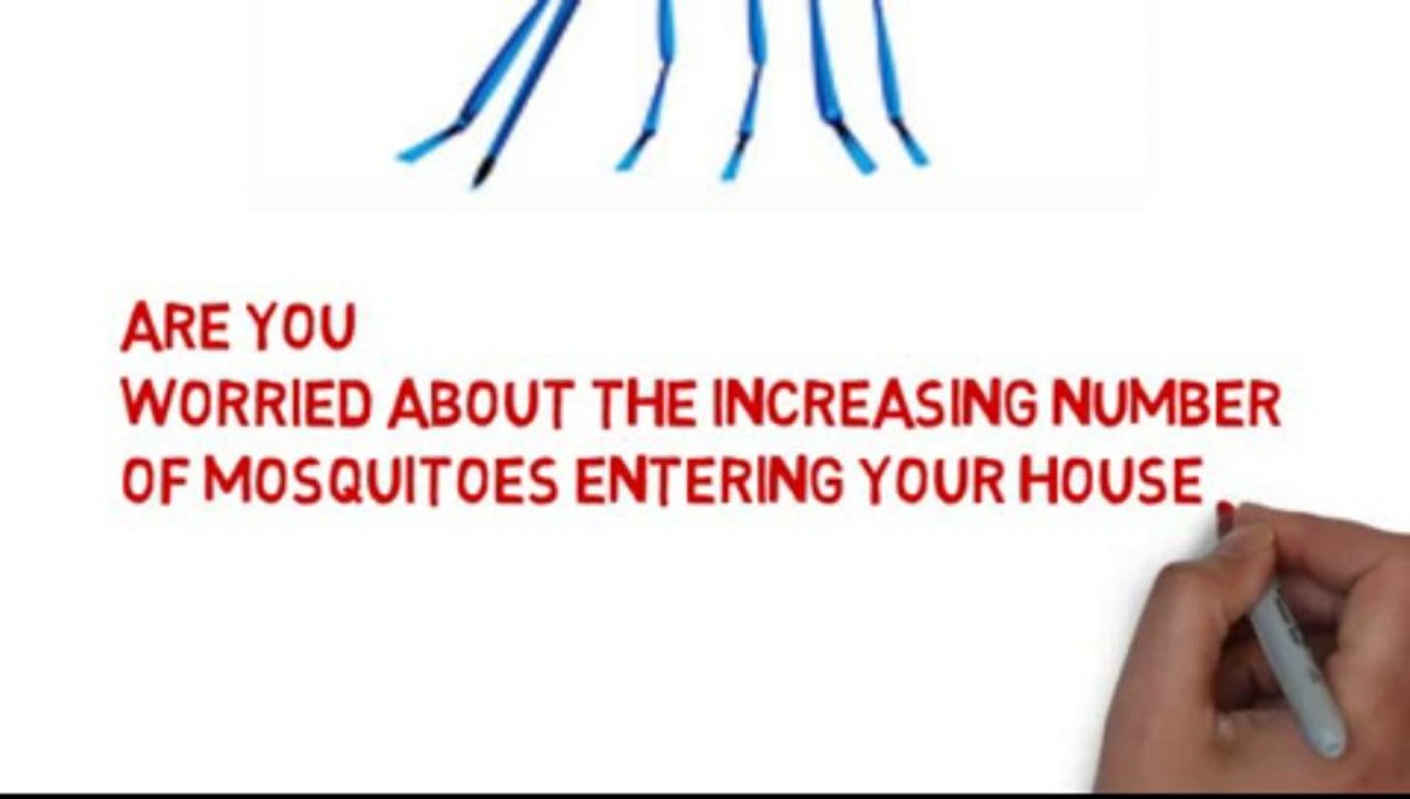 pest mosquito