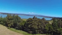 Birds attack phantom drone quad-copter causing crash landing