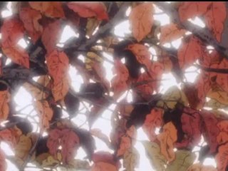 Prendi il mondo e vai - 043 - Nello è bravissimo