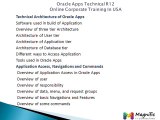 Oracle Apps Technical R12 Online Training And Placement-Magnific Training
