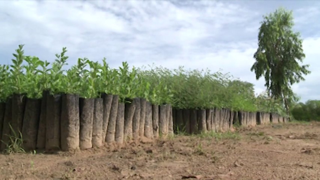 Partenariat entre la Région Poitou-Charentes et la Région de Fatick au Sénégal