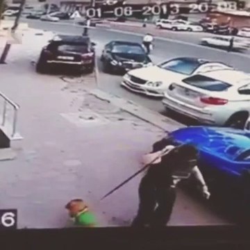 Cat attacks a dog like a Kung-Fu master!!