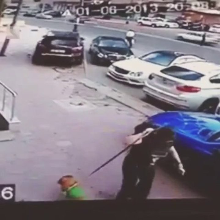 Un chat fait une prise de Kung-Fu à un chien en laisse!!!