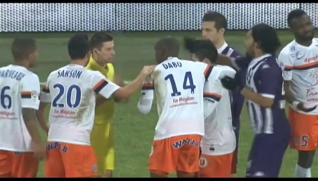 Résumé commenté TFC-MHSC