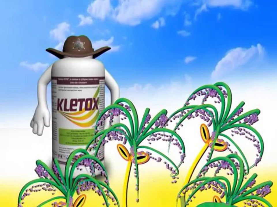 kletox