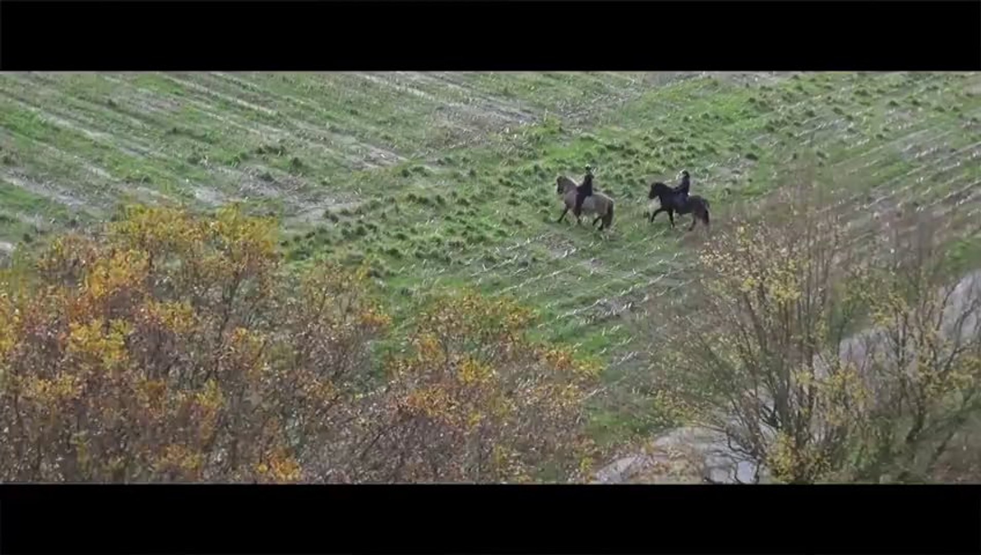⁣Horses - Demo Clip