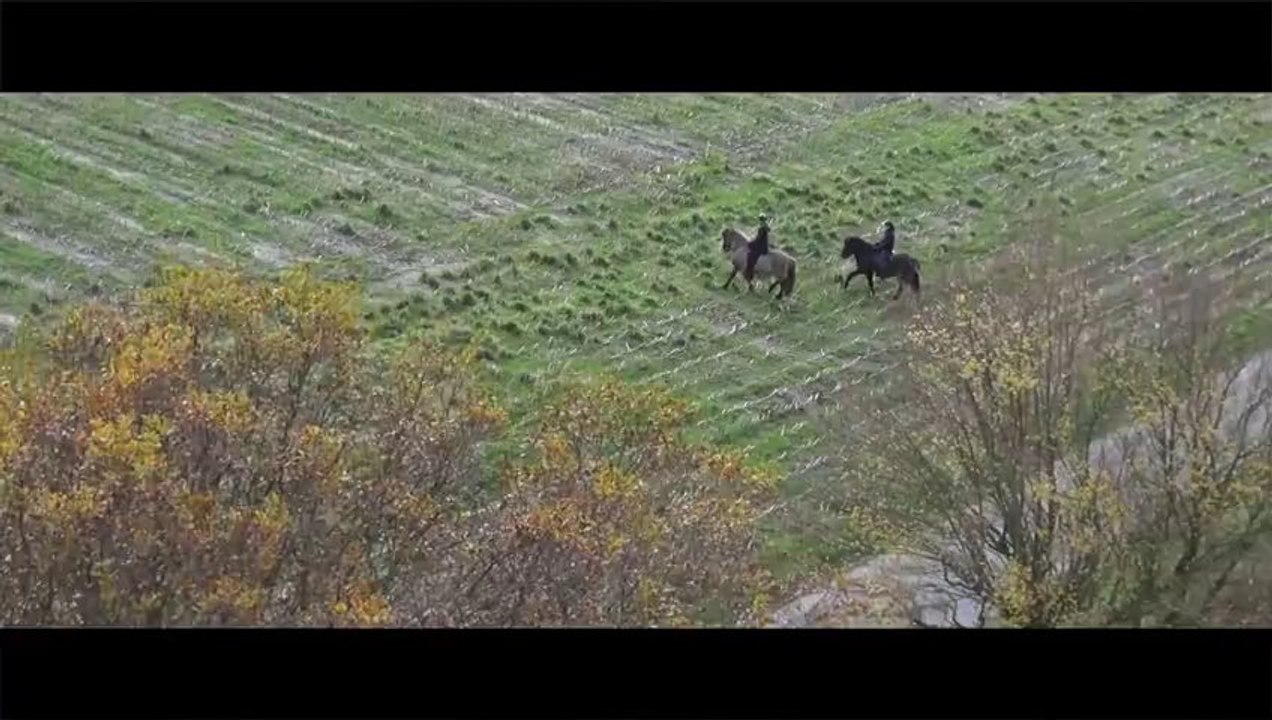 Horses - Demo Clip