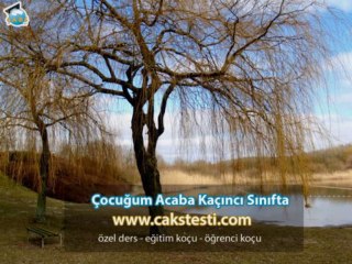 Özel Ders Evi Açmak